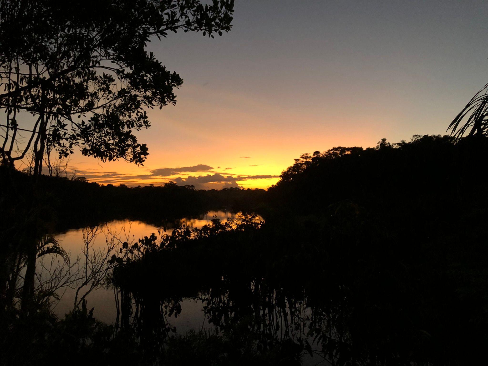 Sunset over an Ecuadorian forest and river landscape