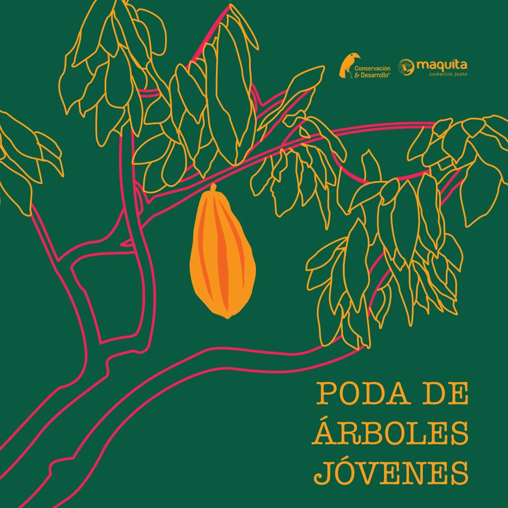 Poda de Árboles Jóvenes cover
